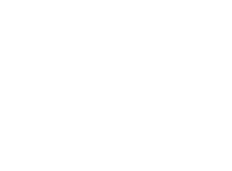 TriSky Logo White